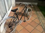 Orbea_6.jpg