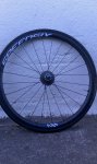 IMG-20150920-WA0004.jpg