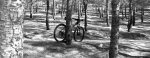 La bici 108.jpg