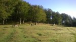 WP_20150920_09_14_13_Pro.jpg