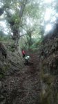 12010533_890710827643217_7240752807295486057_o.jpg