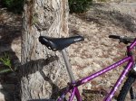 DSC05860.jpg