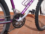 DSC05864.jpg