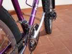 DSC05865.jpg
