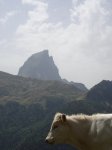 Copia de DSC04006.jpg