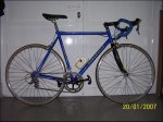 Pinarello.jpg