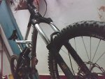 bikes.jpg