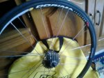20150923_094722.jpg
