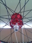 20150924_175426.jpg