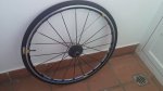 20150925_172037 - copia.jpg