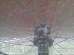 20150926_124921.jpg
