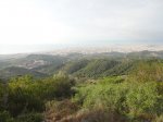 DSC02136.JPG