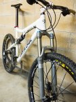 BlurLT-1050065.jpg