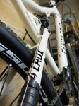 BlurLT-1050068.jpg
