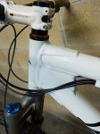 BlurLT-1050084.jpg