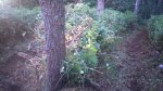 IMG-20150926-WA0002.jpg