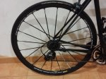 toni 28 088.jpg