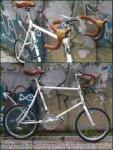 Bruno minivelo.jpg