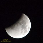 CSC_0503.jpg