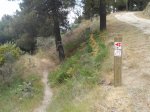20140702_125249.jpg