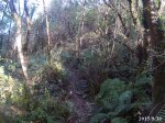20150930_175855.JPG