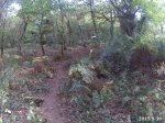 20150930_175921.JPG