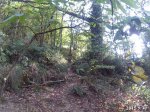 20150930_175958.JPG