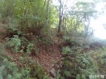 20150930_180024.JPG