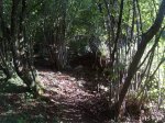 20150930_180245.JPG