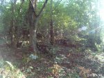 20150930_180334.JPG