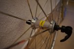 DSC00139.jpg