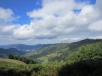 IMG_2438.JPG