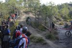 _DSC0184.JPG