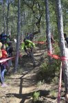 _DSC0352.JPG