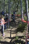 _DSC0354.JPG