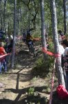 _DSC0355.JPG