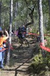 _DSC0385.JPG