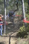_DSC0389.JPG