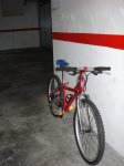 DSC05937.jpg
