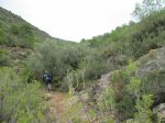 IMG_0736.JPG