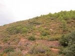 IMG_0742.JPG