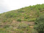 IMG_0743.JPG