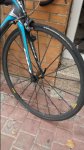 20151004_134231.jpg