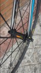 20151004_134320.jpg