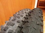 IMG_20151004_201141.jpg