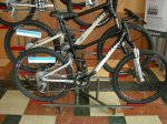 Giant_2008_016.jpg