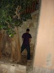 DSC06408.JPG