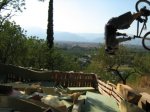 IMG_1035.jpg