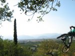 IMG_1037.jpg