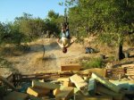 IMG_1043joel.jpg